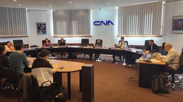 alegeri europarlamentare si locale cna stabileste reguli stricte pentru a asigura informarea corecta si pluralismul