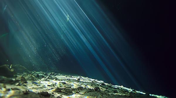 reptila marina uriasa descoperita de oamenii de stiinta ar fi avut o lungime de aproximativ 25 de metri