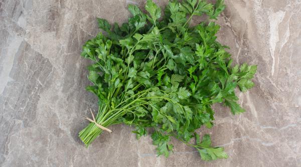 patrunjelul aliat de top in lupta cu kilogramele cum slabesti rapid cu verdele minune