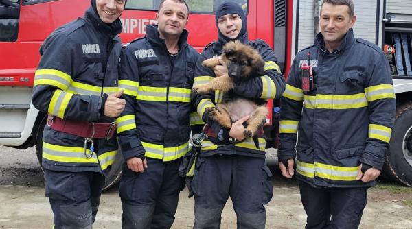 pompierii militari hunedoreni au salvat o catelusa ramasa captiva intre doua ziduri
