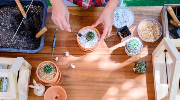 emag inainte de paste romania devine o tara de mesteri si gradinari