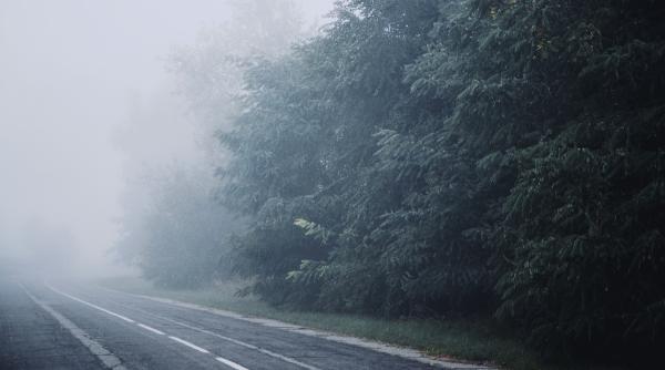 cod galben de ceata vezi in articol judet