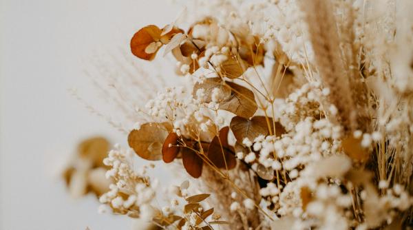 plantele si florile uscate din nou la moda in decorarea spatiilor interioare