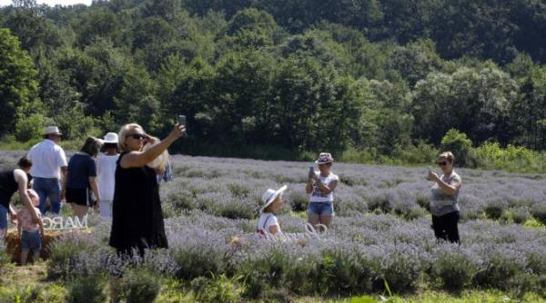 satul in care vin turisti austria germania belgia si de peste ocean tanti emilia dezvaluie secretele ciorbei de miel este regele ciorbei