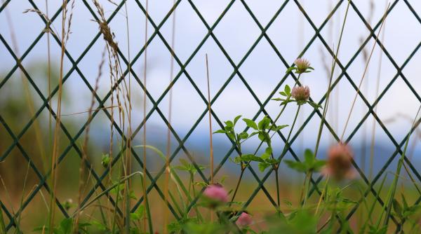 un oras isi blocheaza privelistea spre munte pentru a evita supraturismul