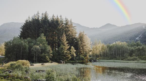 animalele din romania pe care nu ai voie sub nicio forma sa le vanezi