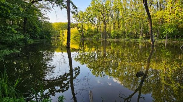 centura verde bucuresti ilfov a primit un vot istoric in senat in cadrul noului cod silvic