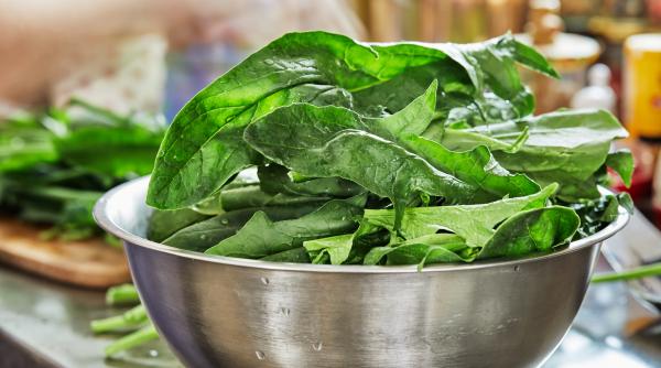 in urma cu 15 000 de ani vanatorii culegatori din africa de nord au trecut la o dieta preponderent bazata pe plante studiu