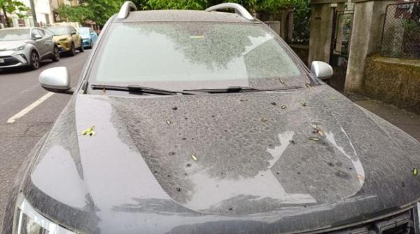 semnalul de alarma pe care l da valul de praf saharian care a traversat deja romania martie si aprilie au dat peste cap toate masuratorile din istorie