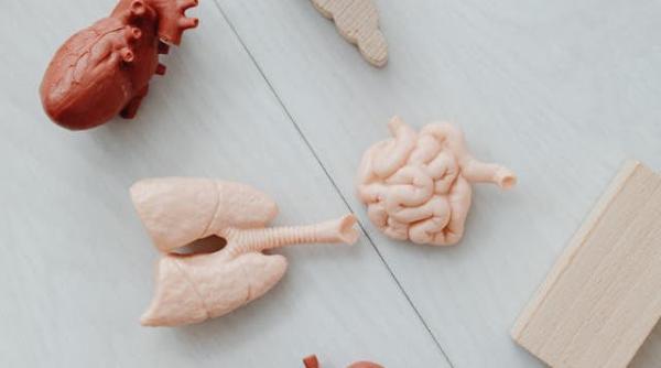 maratonul pentru viata 20 de vieti au fost salvate de 5 persoane aflate in moarte cerebrala