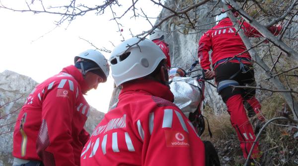 cum trebuie sa reactionati daca va intalniti cu ursul pe munte atentionare salvamont sa nu intram in panica