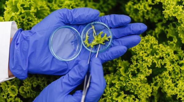 bogatie uriasa pentru mediul nostru actual si viitorul lumii adn ul plantelor preistorice extras din adancurile arcticii