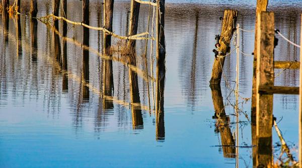 vremea se incalzeste putin apoi se raceste din nou florinela georgescu anm posibile inundatii si cresteri de debite