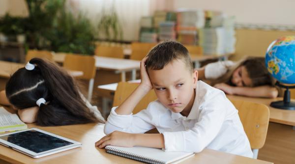 ecologie latina filosofie disciplinele uitate ale scolii romanesti bulai comunistii macar aveau o idee clara cu educatia azi nu exista chestia asta e un amestec de toate pentru toti