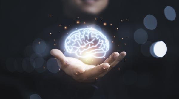 oamenii de stiinta sustin ca au gasit busola din creierul uman