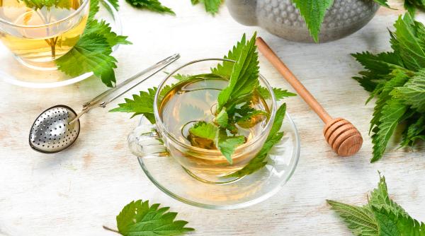 10 beneficii ale ceaiului de urzici sustinerea sanatatii inimii se afla pe lista