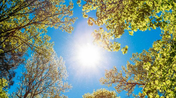 scapam de ploi si cresc temperaturile florinela georgescu anm probabil cu doua maxime de temperaturi ridicate