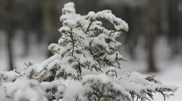 val de aer polar peste romania elena mateescu anm minime de 0 grade celsius precipitatii sub forma de lapovita si ninsoare
