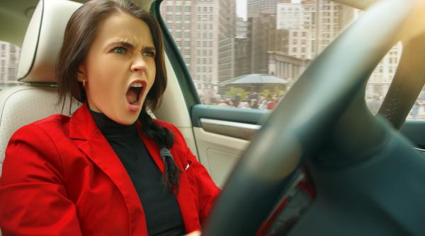 sicanarea in trafic de la mici greseli la accidente grave titi aur ar trebui sa luam exemplu de la catei