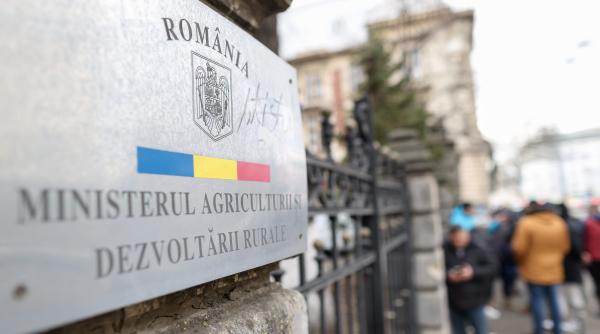 ministerul agriculturii are 699 de angajati in total in unitatile subordonate sunt 14 264 de angajati cand va aplica cea mai ambitioasa reforma a aparatului bugetar de dupa revolutie