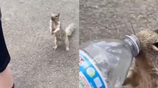 tara in care trebuie sa platesti taxa daca vrei sa iti folosesti laptopul in cafenele