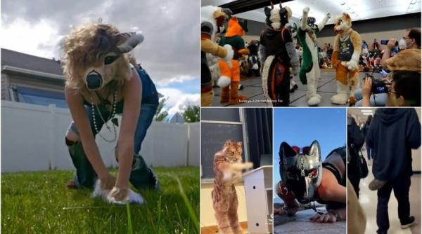 tot mai multi tineri din romania adopta trendul furry si se transforma in fursona sabina rusescu in sua sunt oameni care se cred obiecte nu ma mai mira nimic va trece ca si moda cu hi5 ul