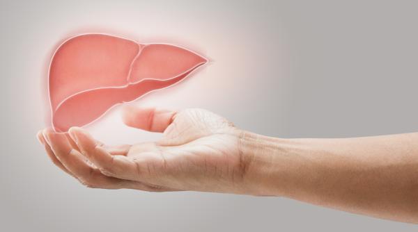 trei alimente care iti vor regenera ficatul si te vor ajuta sa slabesti