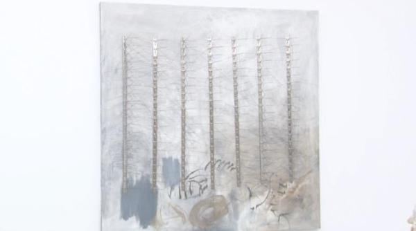 rad art fair 2024 artistii si managerii culturali ganduri despre lucrarile expuse vdeo