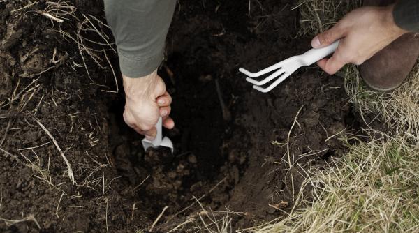 un barbat a gasit o piatra cu inscriptii ciudate in curtea casei descoperirea i a derutat pe arheologi foto in articol