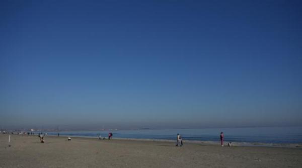 alerta in marea neagra substantele periculoase din apa au depasit norma de 60 de ori