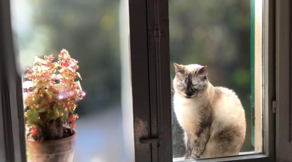 asa reclamatie nu primesti in fiecare zi ce i a scris un barbat vecinului sau intr un bilet nu ti mai lasa pisicile la geam pentru ca