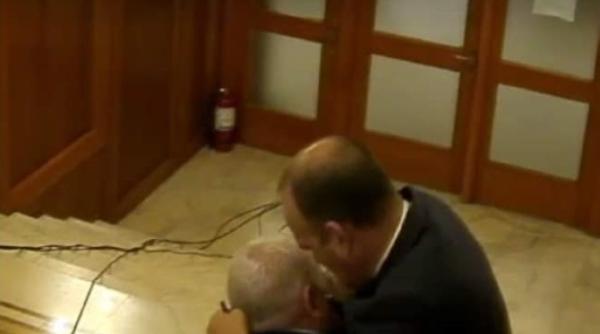 florin roman si dan vilceanu bataie in parlament victor negrescu unii pot spune ca florin roman a fost cel agresat de fapt video
