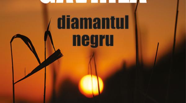 se lanseaza volumul diamantul negru captivantul roman de debut al anei maria gavrila