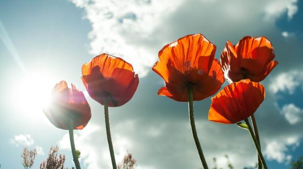 val de aer tropical peste romania mihai timu anm la amiaza mercurul din termometre va tinde spre 33 de grade