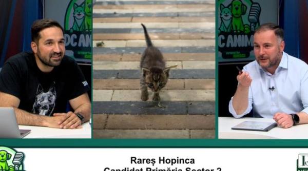 vom face un spital social pentru animale rares hopinca candidat primaria sector 2