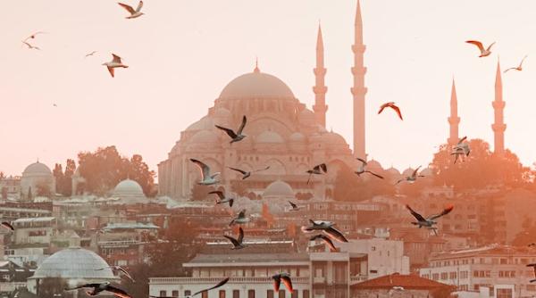 schimbare dramatica in istanbul e primul an cand niste mizerii din acestea imi umbresc vacanta reactii incredibile ce au patit romanii