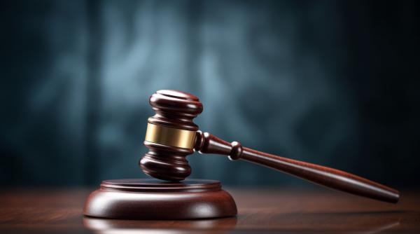 fugarii obligati de statul roman sa si plateasca toate cheltuielile de aducere in tara proiectul de lege promulgat