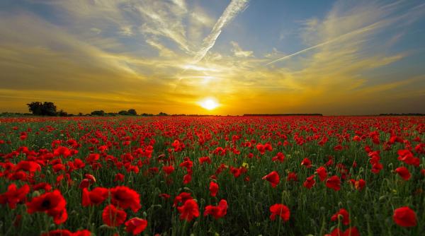 vremea trece de la o extrema la alta elena mateescu anm posibil chiar valori de 35 de grade