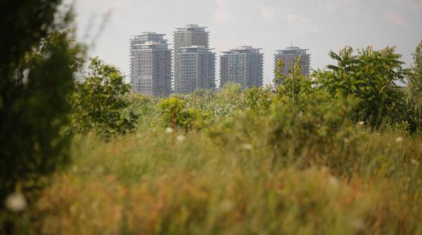 ce trebuie sa faci daca te intalnesti cu un animal salbatic in oras ovidiu rosu esti vazut ca pradator aceste animale sunt rapite
