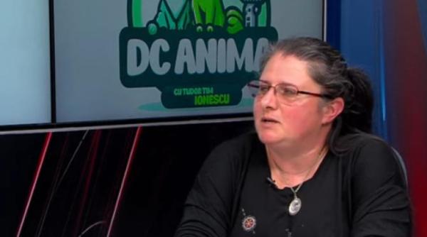 legile care protejeaza cainii din romania brindusa gheorghiu medic veterinar haideti sa le aplicam