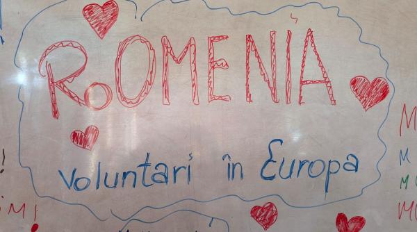 romanii din diaspora mobilizare pentru votul din strainatate