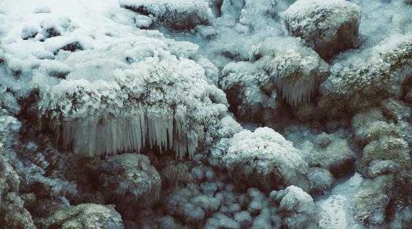 virus gigant descoperit in groenlanda ar putea salva acesta calota glaciara