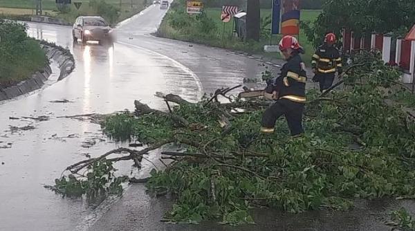 furtunile au facut prapad in romania copaci cazuti pe drumuri si pe calea ferata trenul sibiu timisoara zeci de minute intarziere