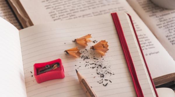 scrutine sau scrutinuri care este forma corecta