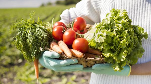 o dieta ecologica reduce cu o treime riscul de moarte prematura sugereaza un studiu