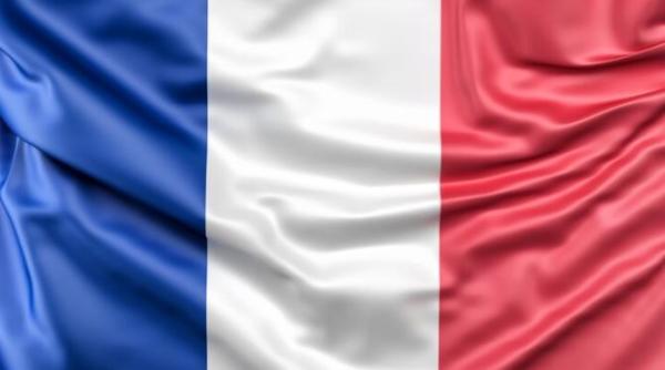 presedintele partidului francez de dreapta inlaturat dupa ce a cerut alianta cu extrema dreapta