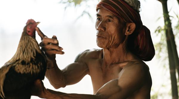 adn ul rescrie istoria sacrificiilor maya cine erau victimele