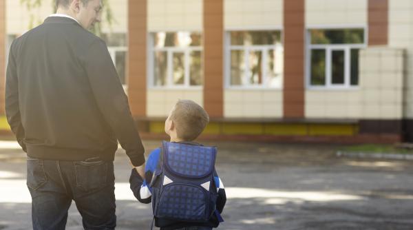 prof univ dr lazar vlasceanu scoala romaneasca cosul de gunoi in care poti introduce orice materie la propunerea oricui