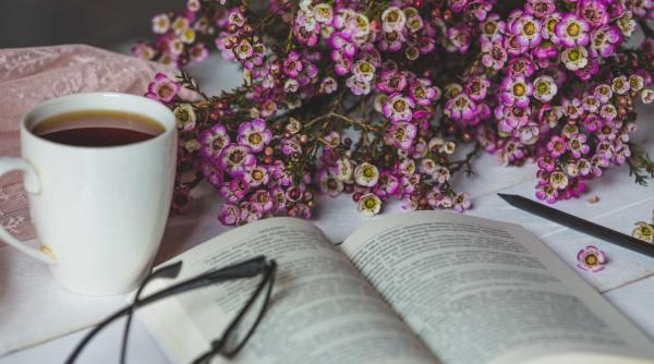 calendar crestin ortodox sarbatoare 20 iunie 2024