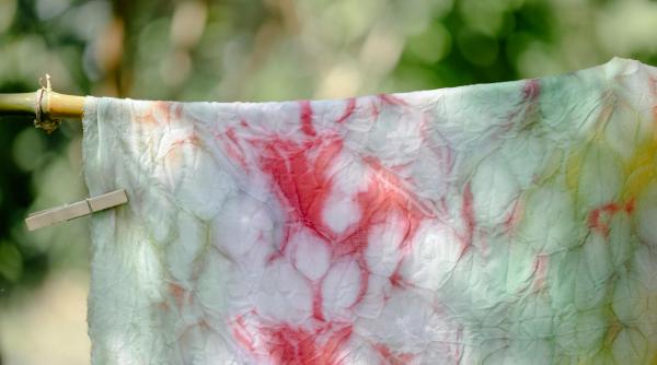 cum cureti petele de visine de pe haine cea mai importanta regula